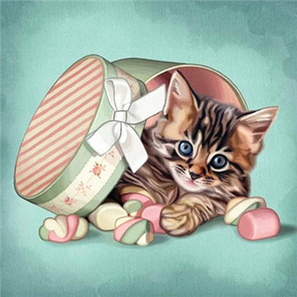 Gift Box Cat - Full Round Drill Diamond Painting 30*30CM