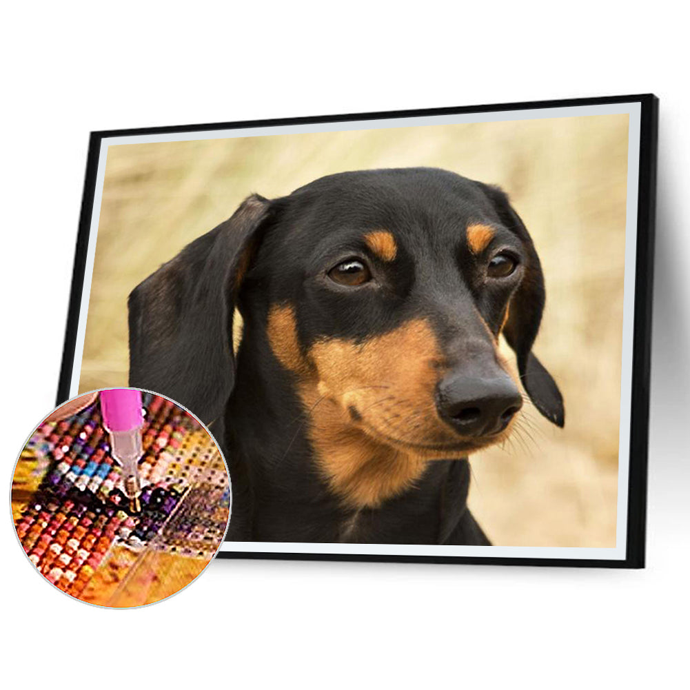Dachshund - Full Round Drill Diamond Painting 50*40CM