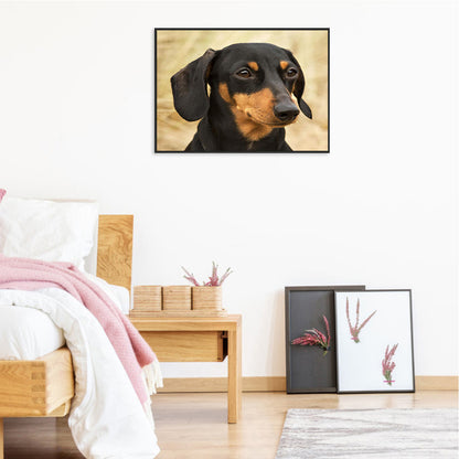 Dachshund - Full Round Drill Diamond Painting 50*40CM