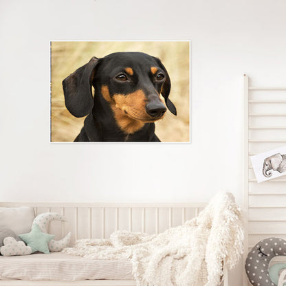 Dachshund - Full Round Drill Diamond Painting 50*40CM