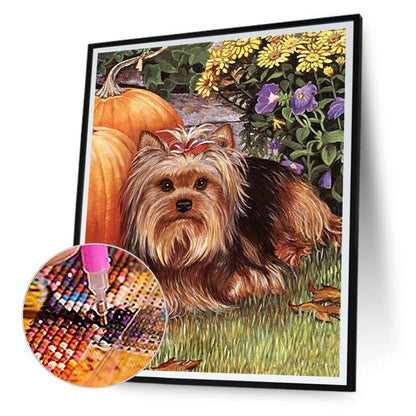 Yorkshire Terrier - Full Round Drill Diamond Painting 30*40CM