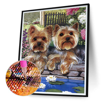 Yorkshire Terrier - Full Round Drill Diamond Painting 30*40CM