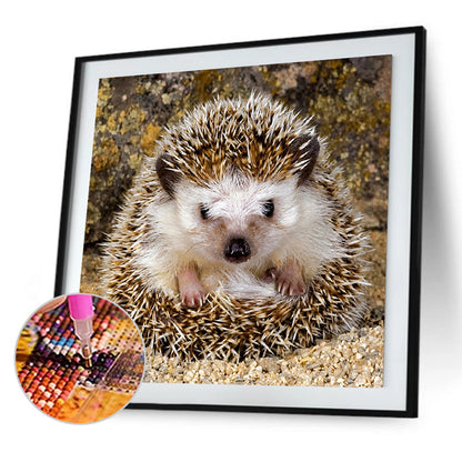 Hedgehog - Full Square Drill Diamond Painting 30*30CM