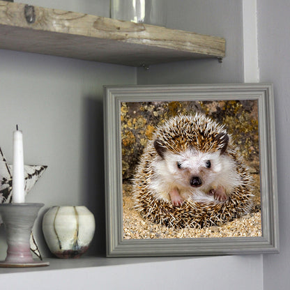 Hedgehog - Full Square Drill Diamond Painting 30*30CM