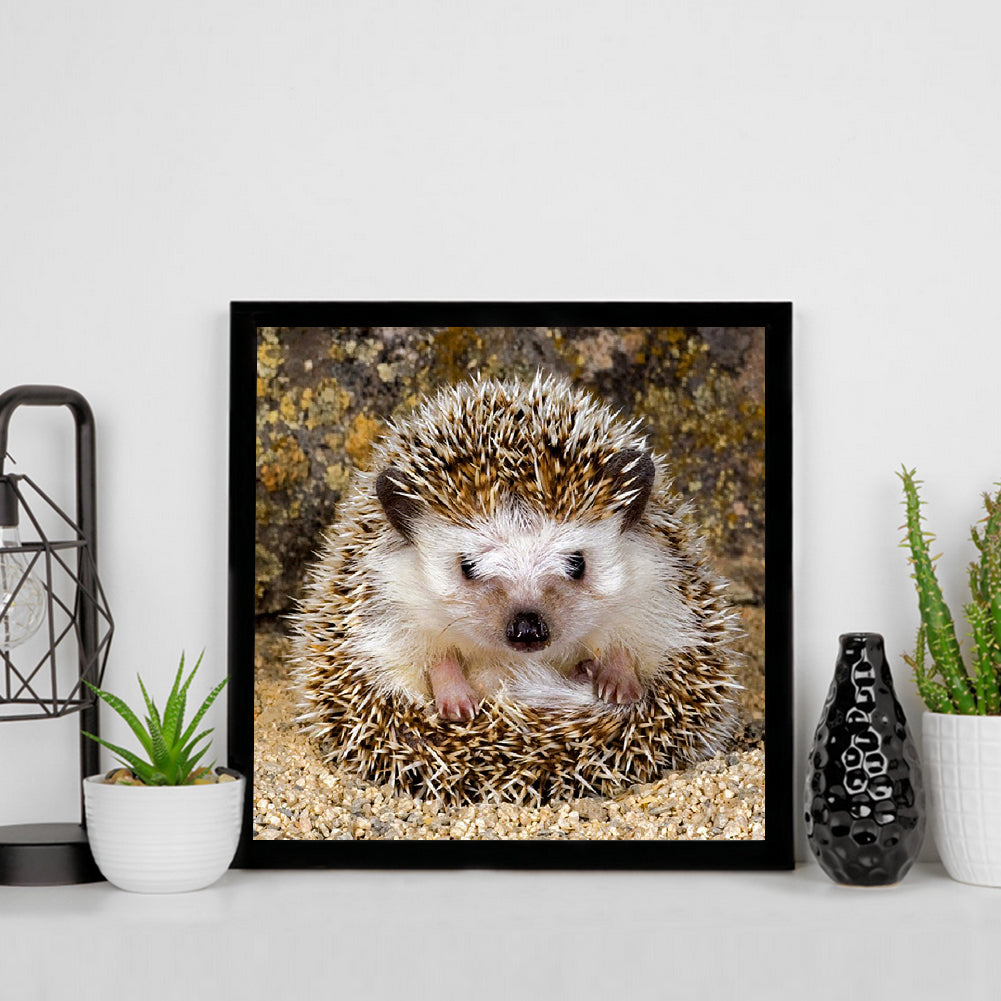 Hedgehog - Full Square Drill Diamond Painting 30*30CM