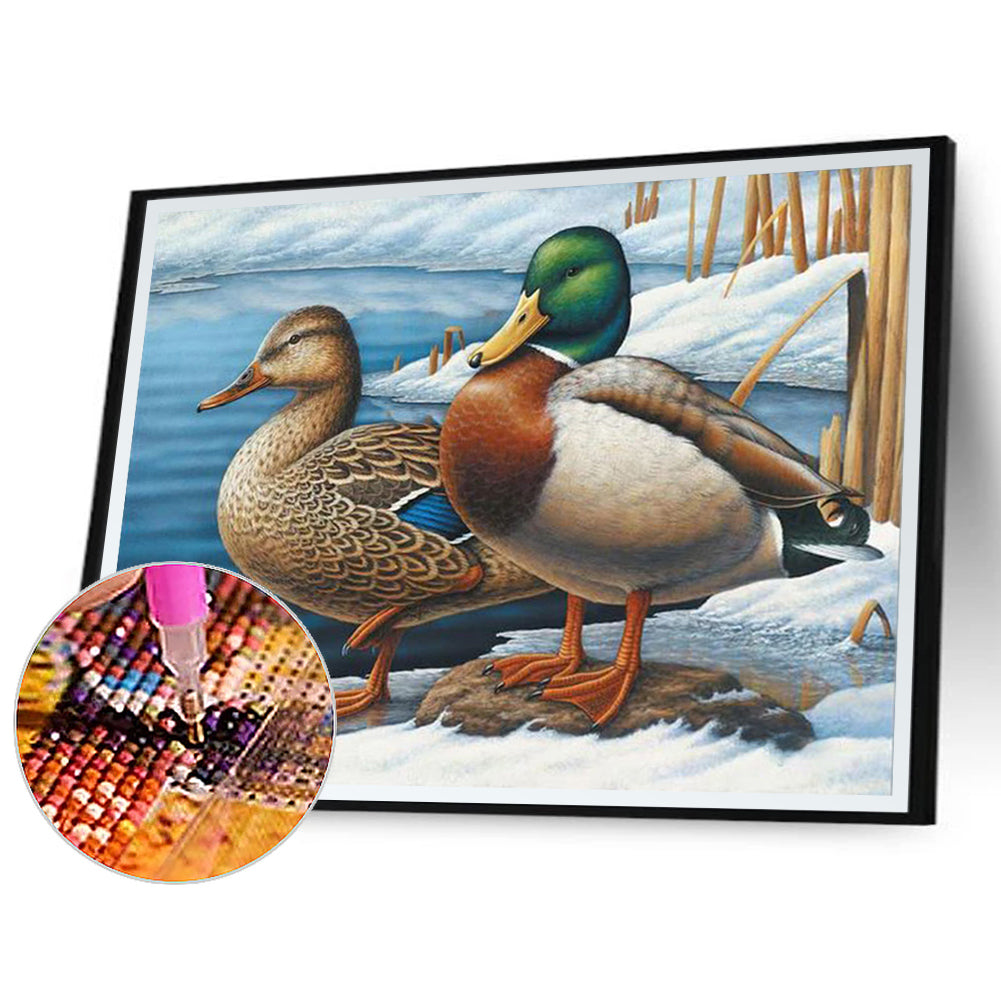 Duck - Full Round Drill Diamond Painting 40*30CM