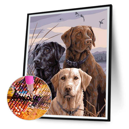 Dog In The Reeds - Full Square Drill Diamond Painting 50*60CM