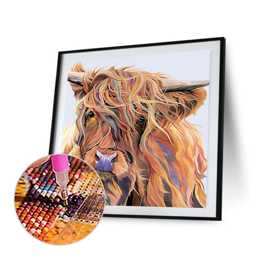 Highland Cattle - Full Square Drill Diamond Painting 30*30CM
