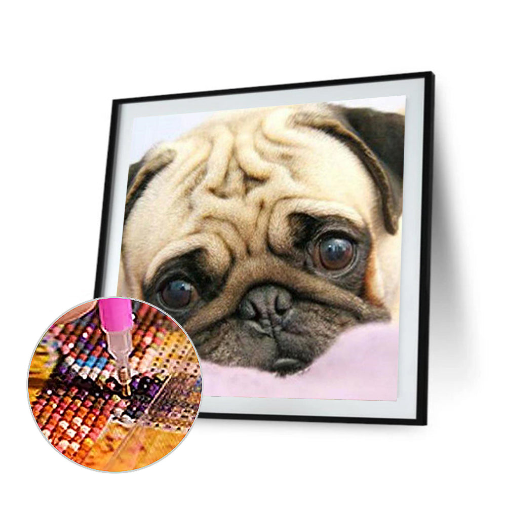 Pug Dog - Full Square Drill Diamond Painting 50*50CM