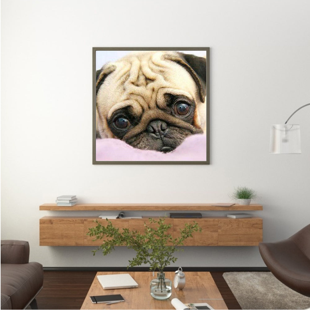 Pug Dog - Full Square Drill Diamond Painting 50*50CM