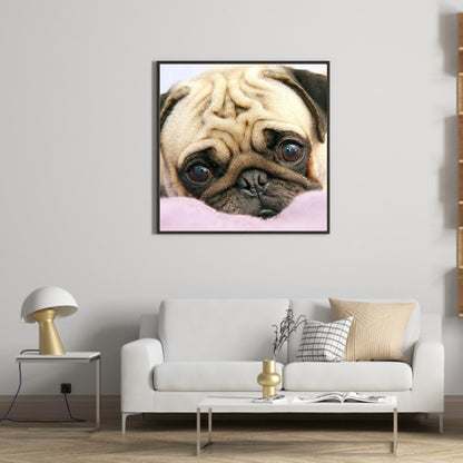 Pug Dog - Full Square Drill Diamond Painting 50*50CM
