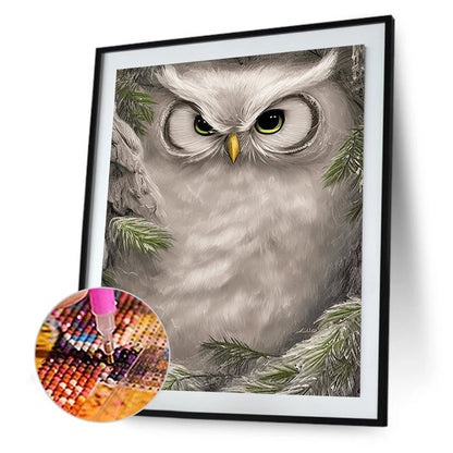 Owl - Full Round Drill Diamond Painting 30*40CM