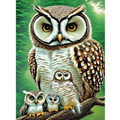 Owl - Full Round Drill Diamond Painting 30*40CM