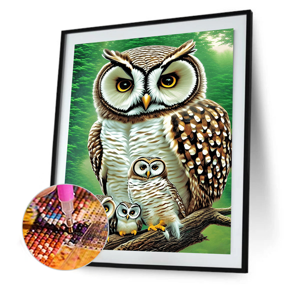 Owl - Full Round Drill Diamond Painting 30*40CM