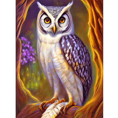 Owl - Full Round Drill Diamond Painting 30*40CM