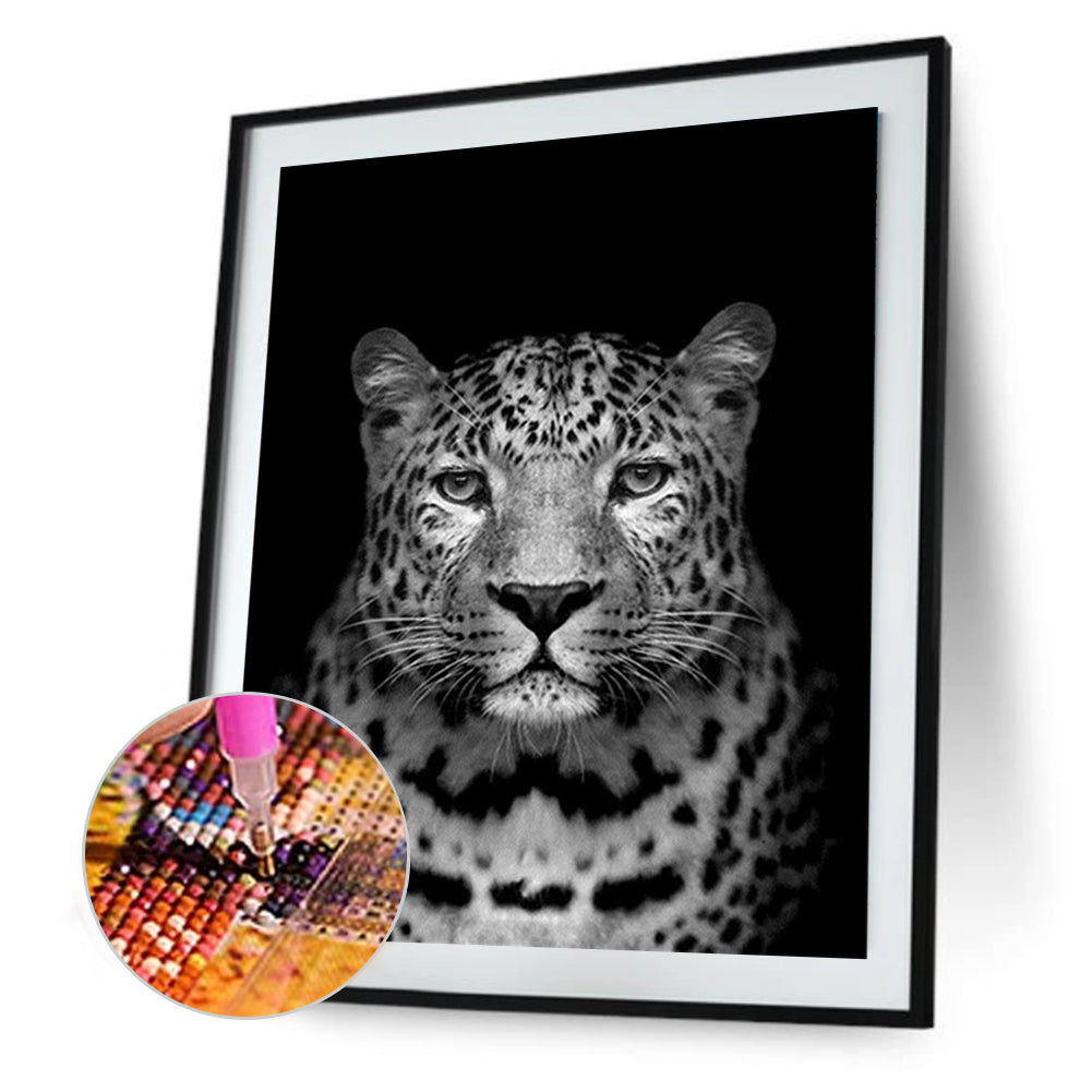 Black And White Leopard - Full Round Drill Diamond Painting 40*50CM