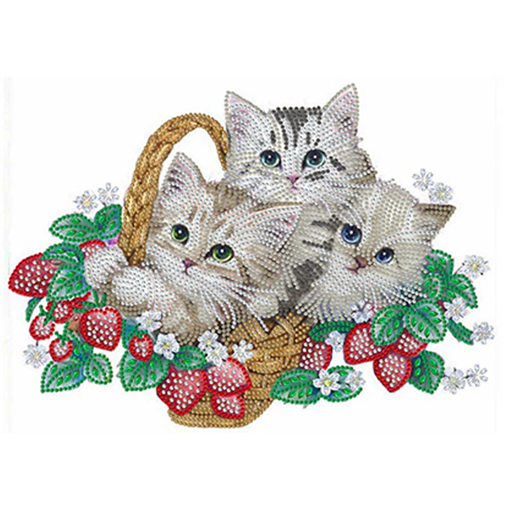 Flower Cat - Special Shaped Drill Diamond Painting 40*30CM