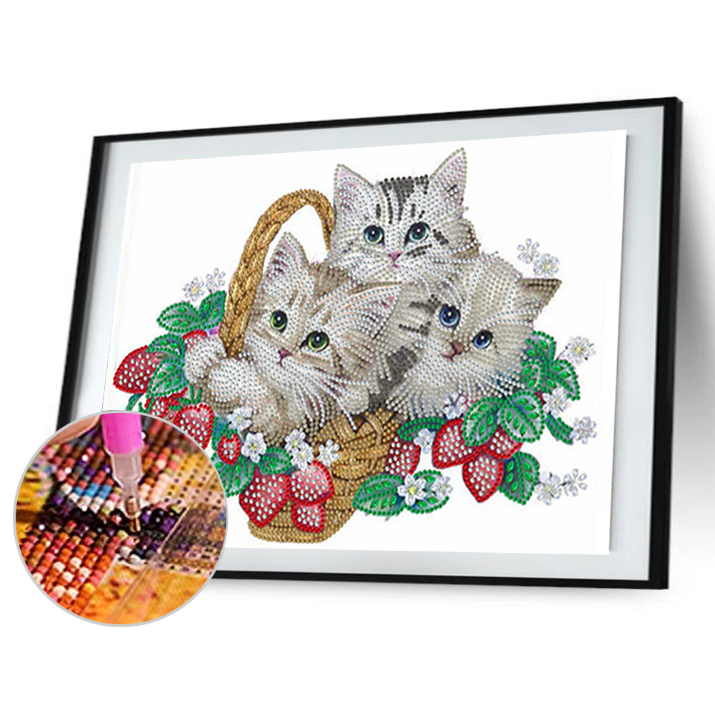 Flower Cat - Special Shaped Drill Diamond Painting 40*30CM