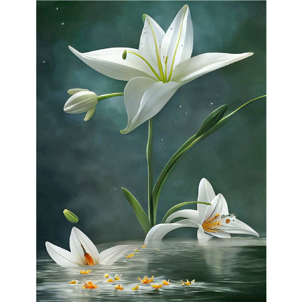 White Lily - Full Round Drill Diamond Painting 30*40CM