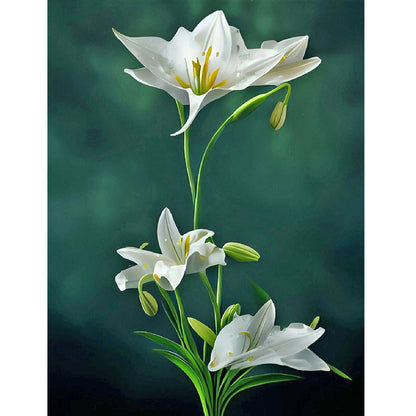 White Lily - Full Round Drill Diamond Painting 30*40CM