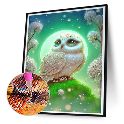 White Owl - Full Round Drill Diamond Painting 30*40CM