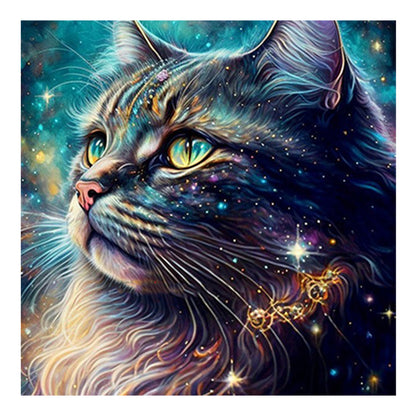 Colorful Cat - Full Round Drill Diamond Painting 30*30CM