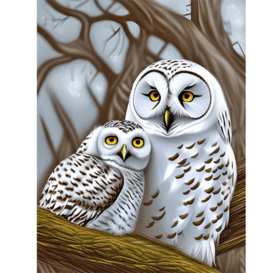 White Owl - Full Round Drill Diamond Painting 30*40CM