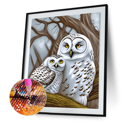 White Owl - Full Round Drill Diamond Painting 30*40CM