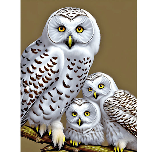 White Owl - Full Round Drill Diamond Painting 30*40CM