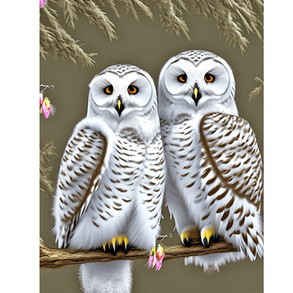 White Owl - Full Round Drill Diamond Painting 30*40CM