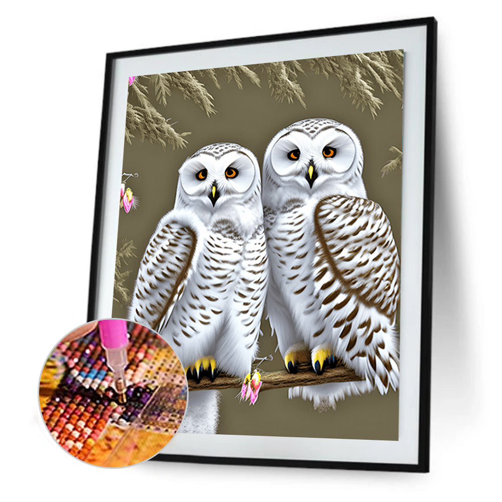 White Owl - Full Round Drill Diamond Painting 30*40CM