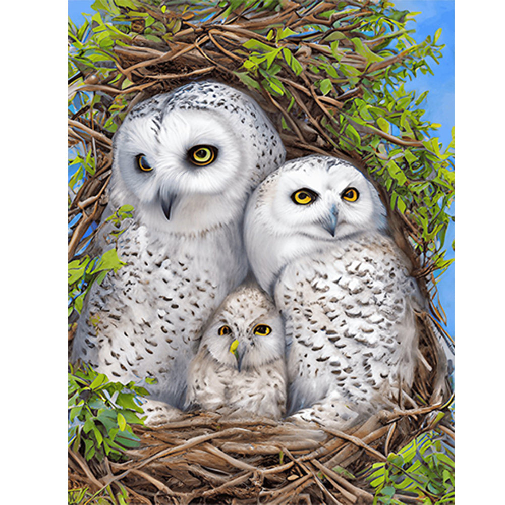 White Owl - Full Round Drill Diamond Painting 30*40CM