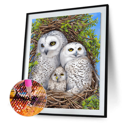 White Owl - Full Round Drill Diamond Painting 30*40CM