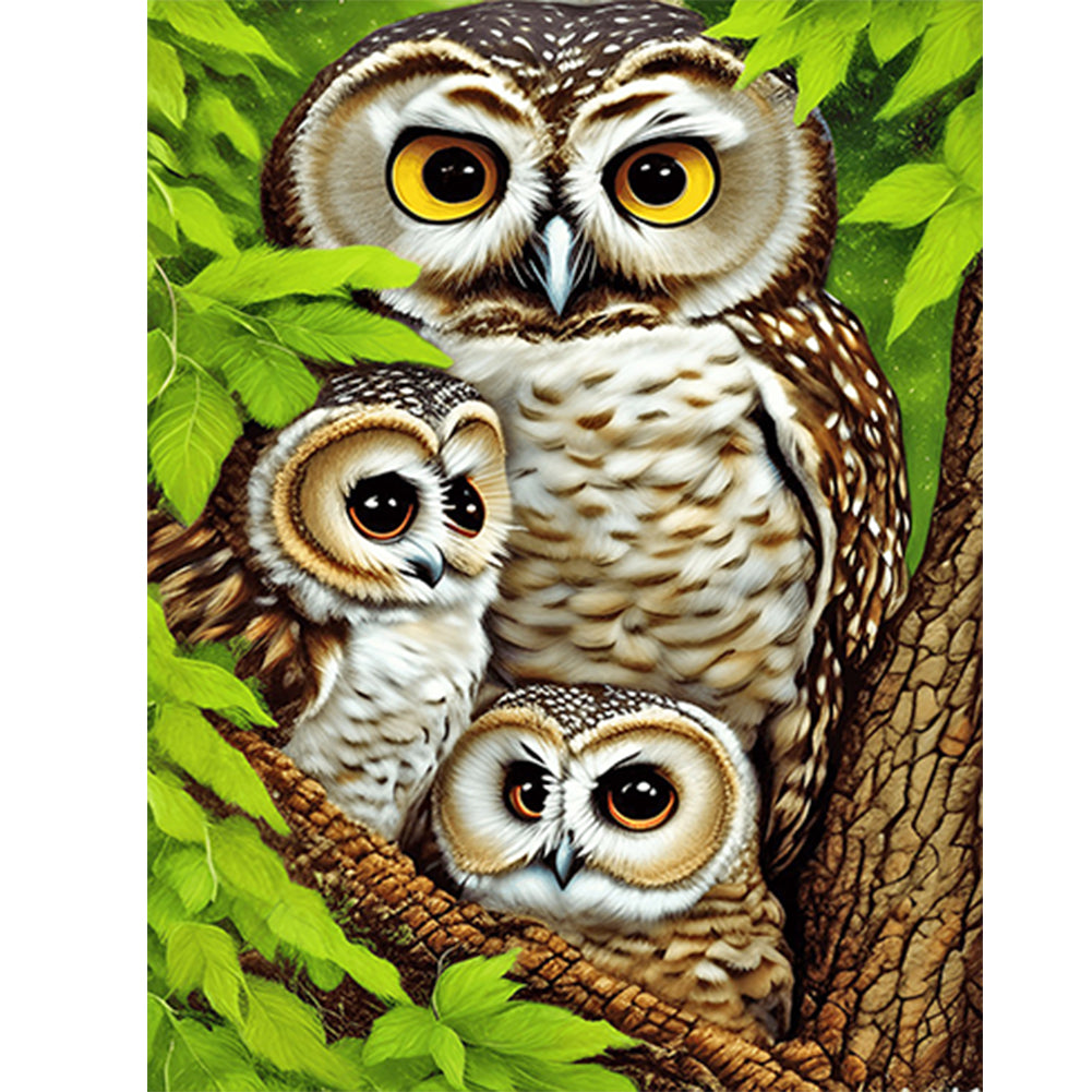 Brown Owl - Full Round Drill Diamond Painting 30*40CM