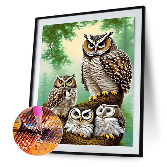 Brown Owl - Full Round Drill Diamond Painting 30*40CM
