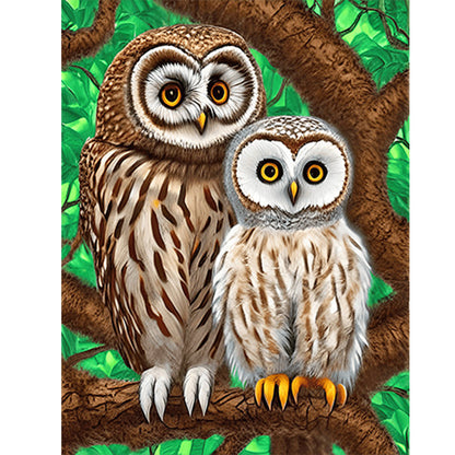 Brown Owl - Full Round Drill Diamond Painting 30*40CM