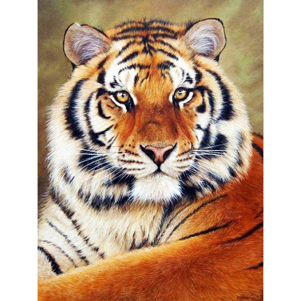 Siberian Tiger Staring - Full Round Drill Diamond Painting 40*50CM