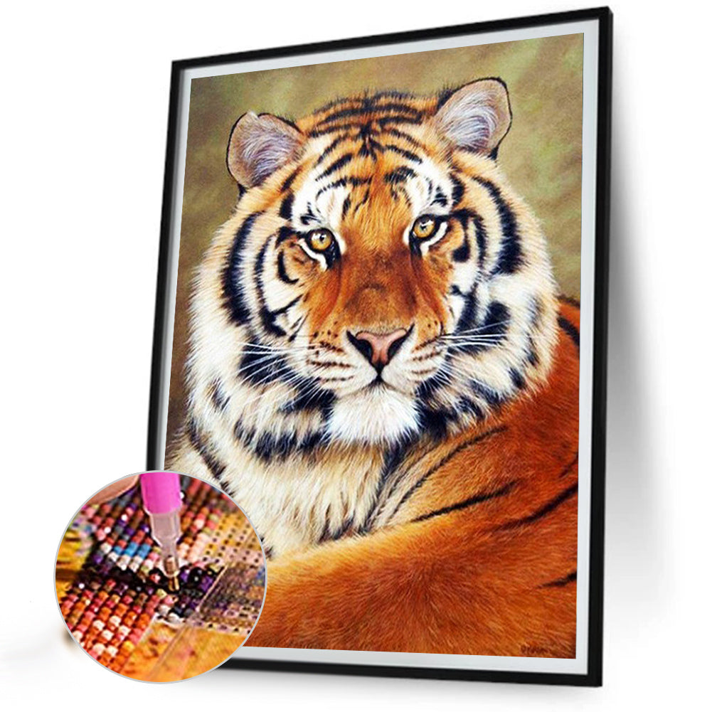 Siberian Tiger Staring - Full Round Drill Diamond Painting 40*50CM