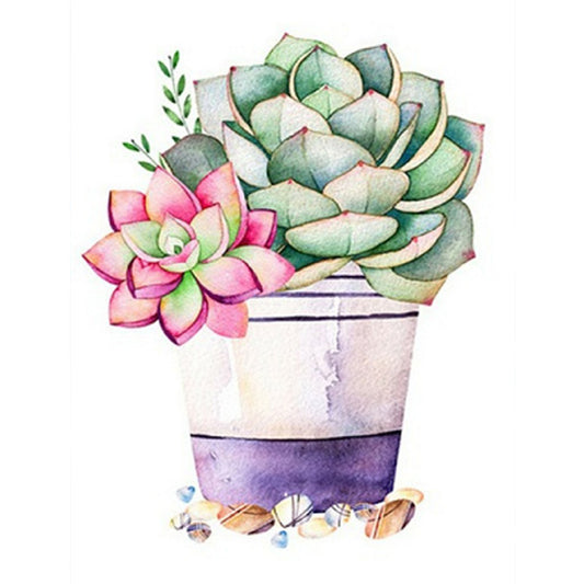 Succulent Potted Plant - Full Square Drill Diamond Painting 30*40CM