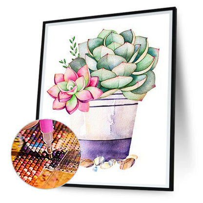 Succulent Potted Plant - Full Square Drill Diamond Painting 30*40CM