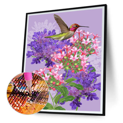 Hummingbird Lilac - Full Round Drill Diamond Painting 30*40CM