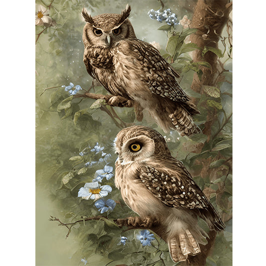 Owl - Full Round Drill Diamond Painting 30*40CM