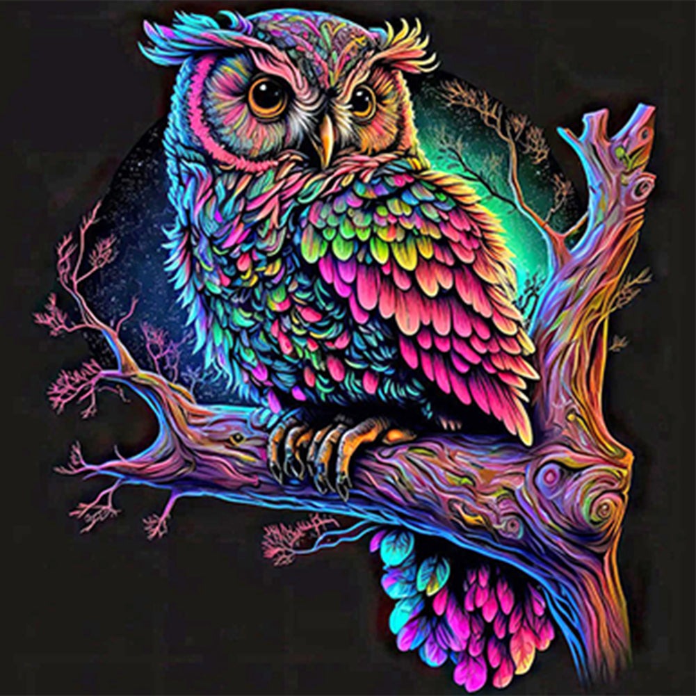 Colorful Owl - Full Round Drill Diamond Painting 30*30CM