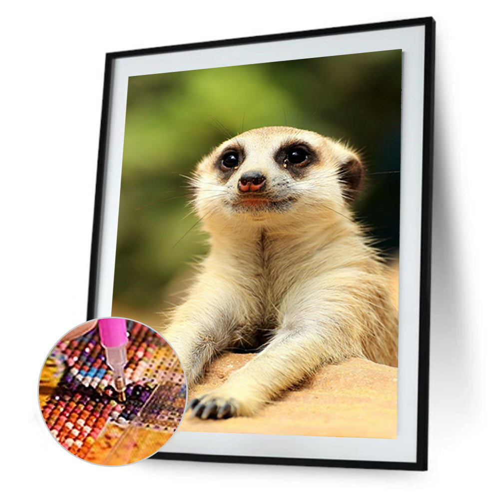 Meerkat - Full Round Drill Diamond Painting 30*40CM
