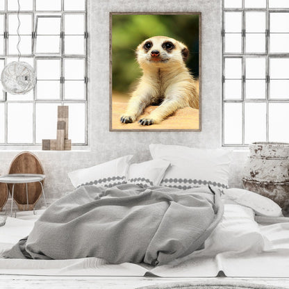 Meerkat - Full Round Drill Diamond Painting 30*40CM