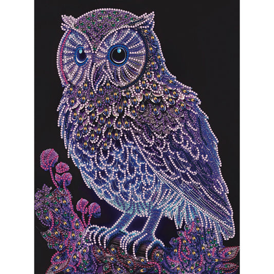 Owl - Special Shaped Drill Diamond Painting 30*40CM