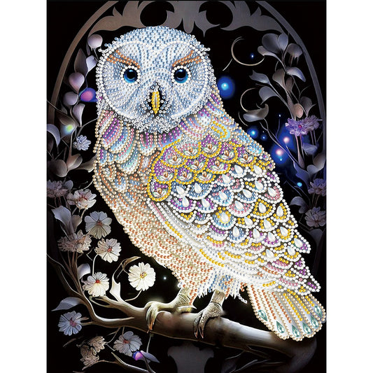 Owl - Special Shaped Drill Diamond Painting 30*40CM