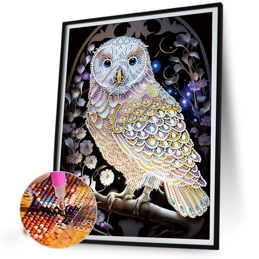 Owl - Special Shaped Drill Diamond Painting 30*40CM