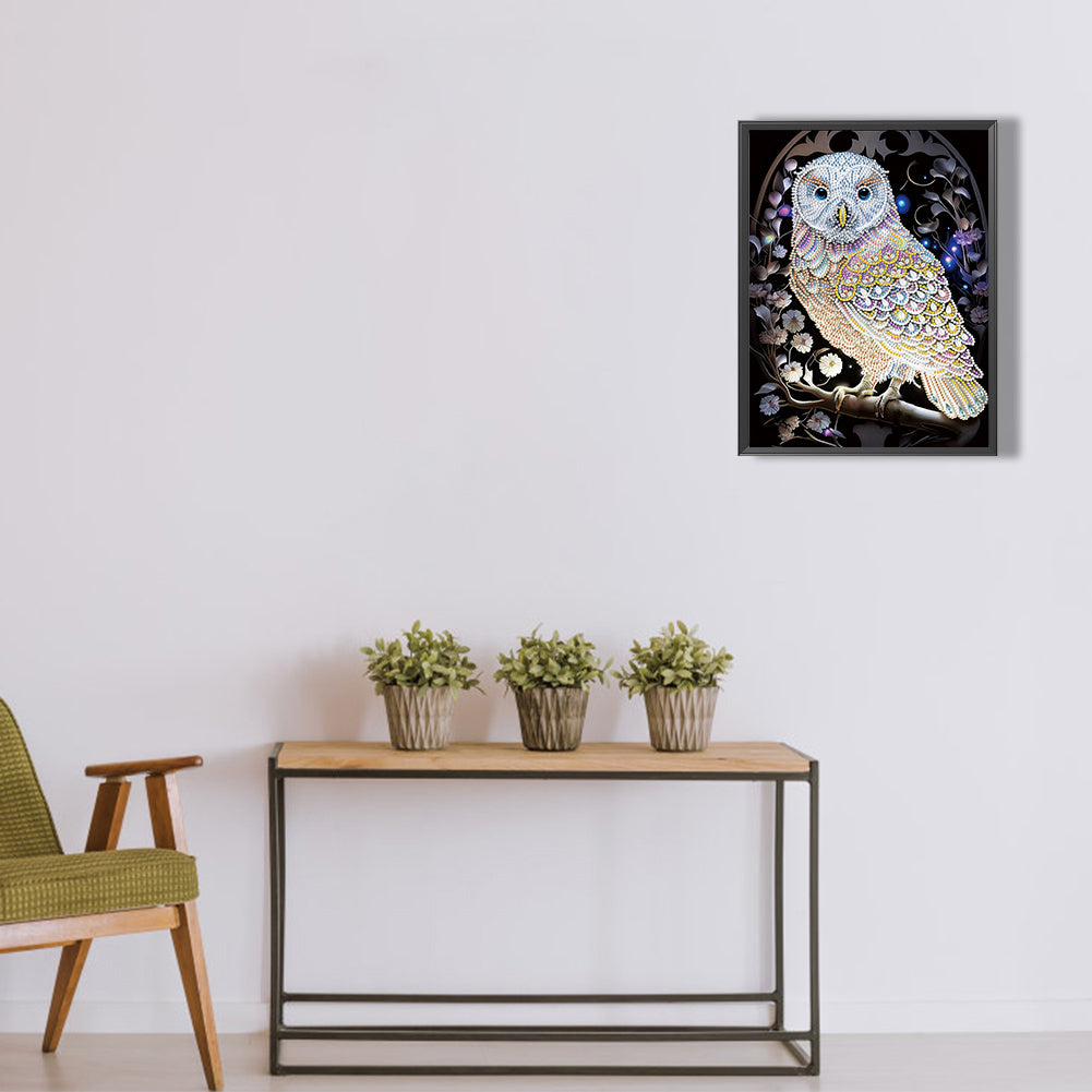 Owl - Special Shaped Drill Diamond Painting 30*40CM