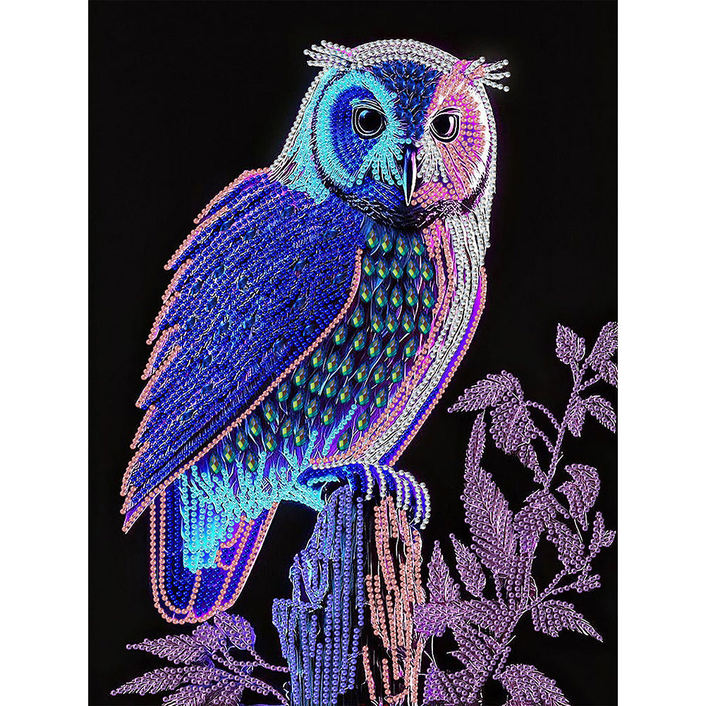 Owl - Special Shaped Drill Diamond Painting 30*40CM